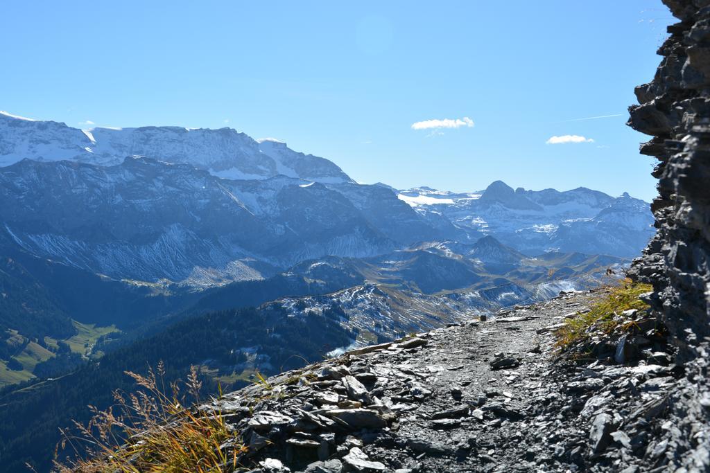 Hotel Hari Im Schlegeli Adelboden Ngoại thất bức ảnh