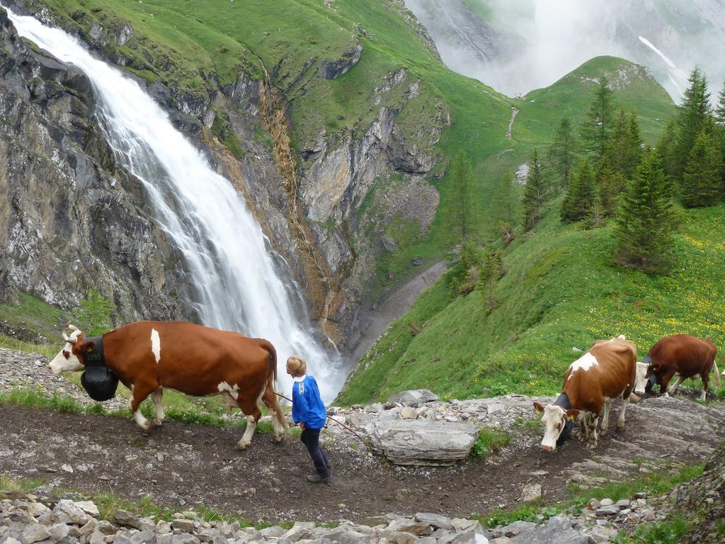 Hotel Hari Im Schlegeli Adelboden Ngoại thất bức ảnh