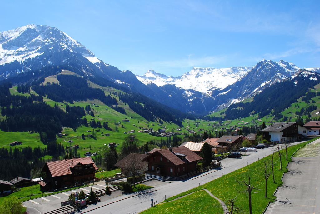 Hotel Hari Im Schlegeli Adelboden Ngoại thất bức ảnh