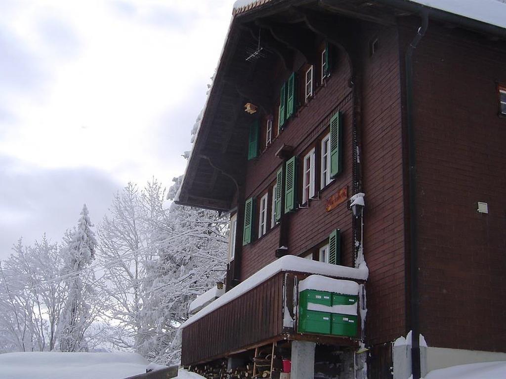 Hotel Hari Im Schlegeli Adelboden Ngoại thất bức ảnh